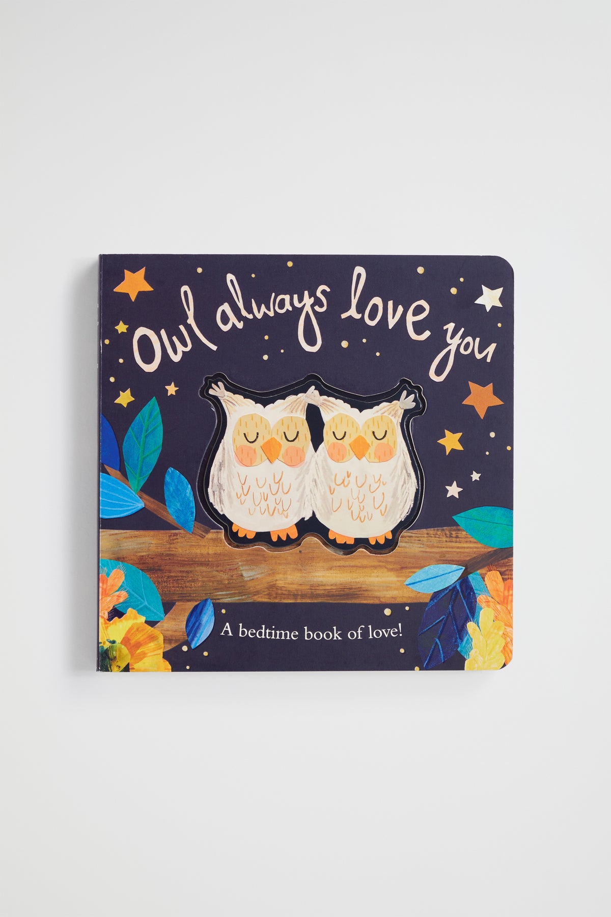 Owl Always Love You Book