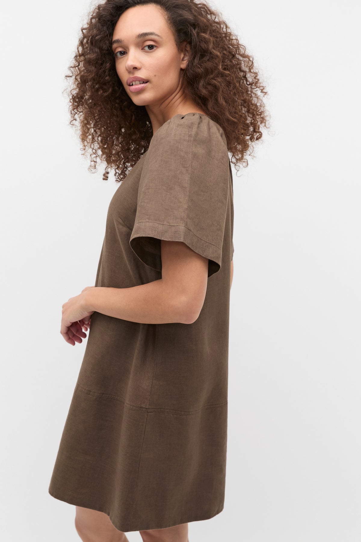 Linen V Neck Flutter Sleeve Mini Dress
