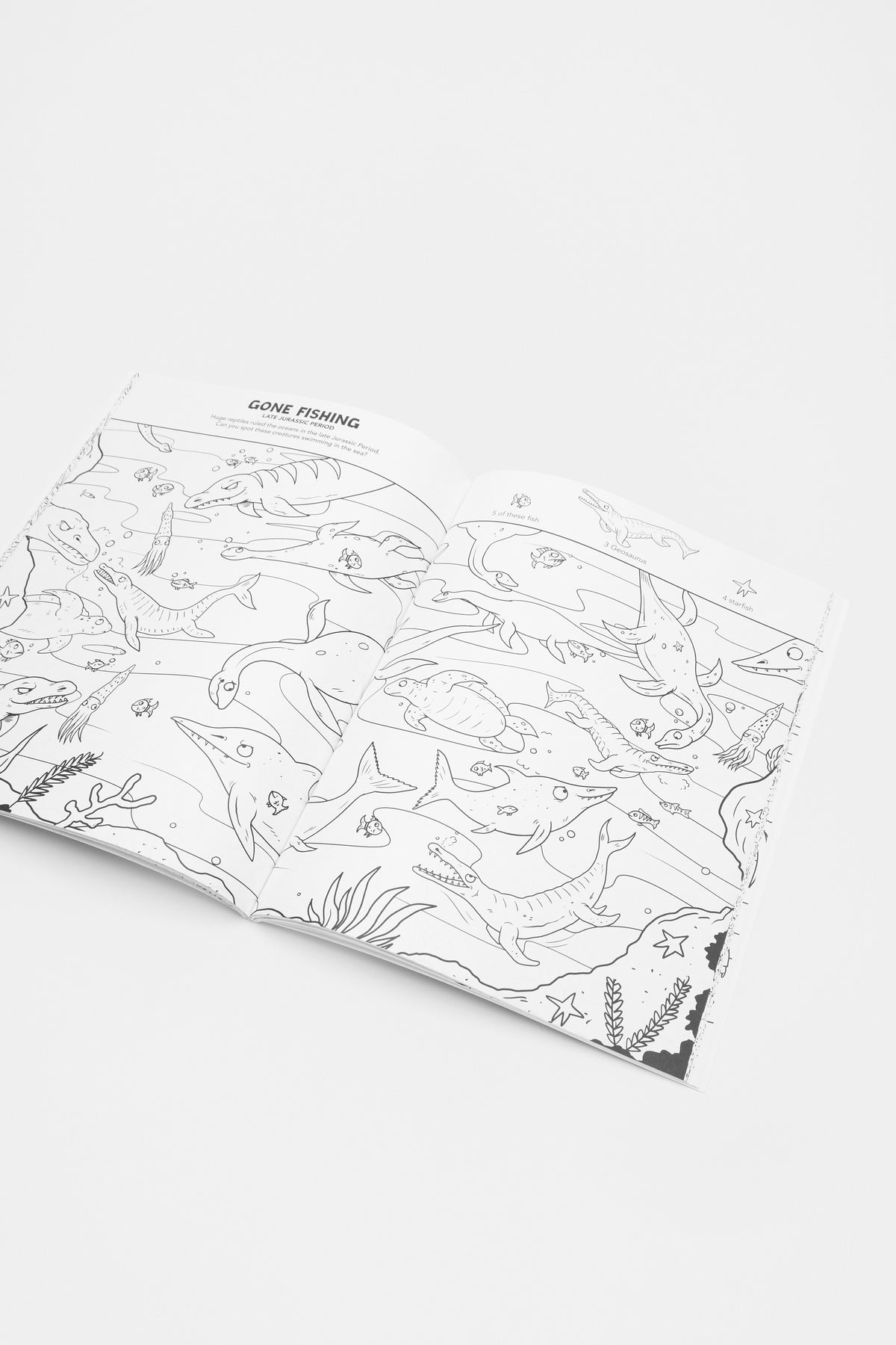Where's The Dinosaur? Colour And Search Book