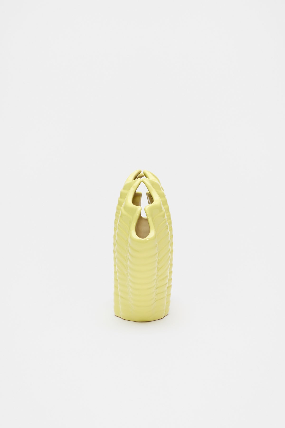Shell Vase