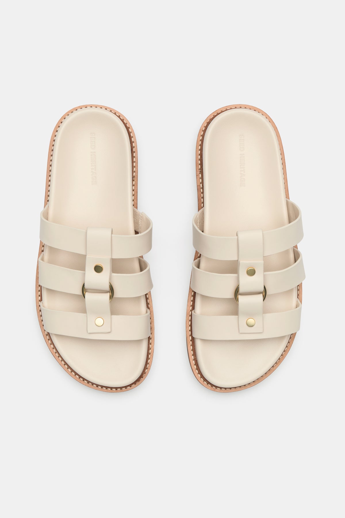 Hayden Mule