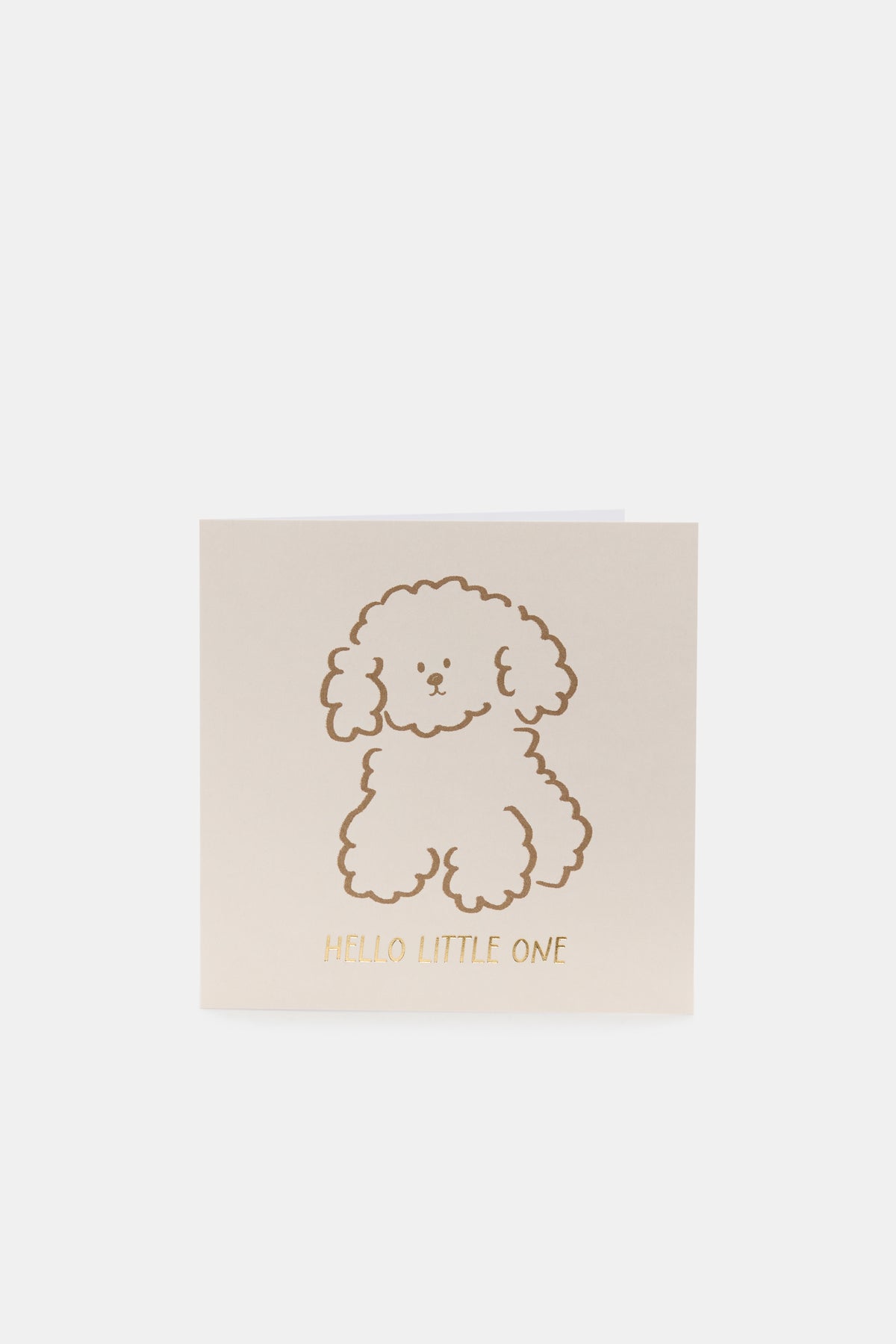 Hello Little One Puppy Card