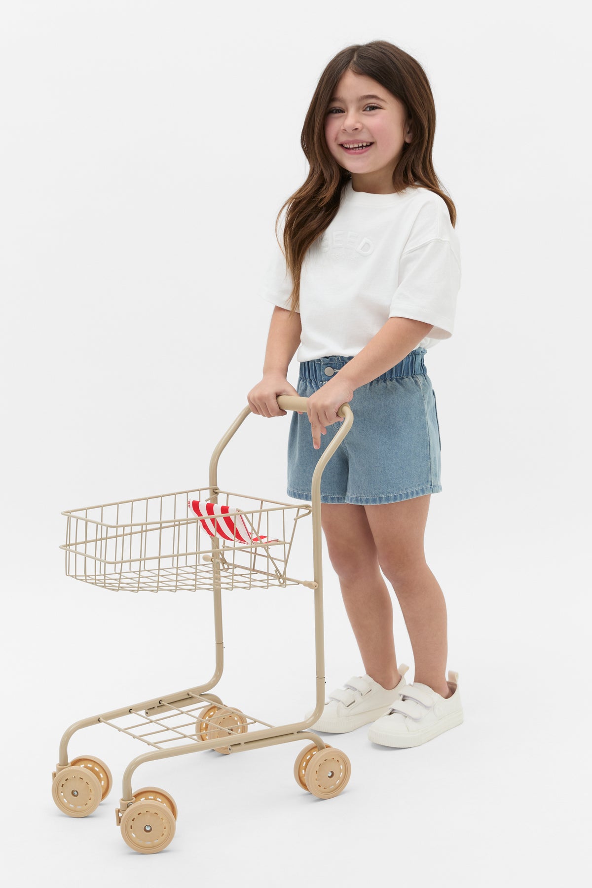 Mini Shopping Trolley