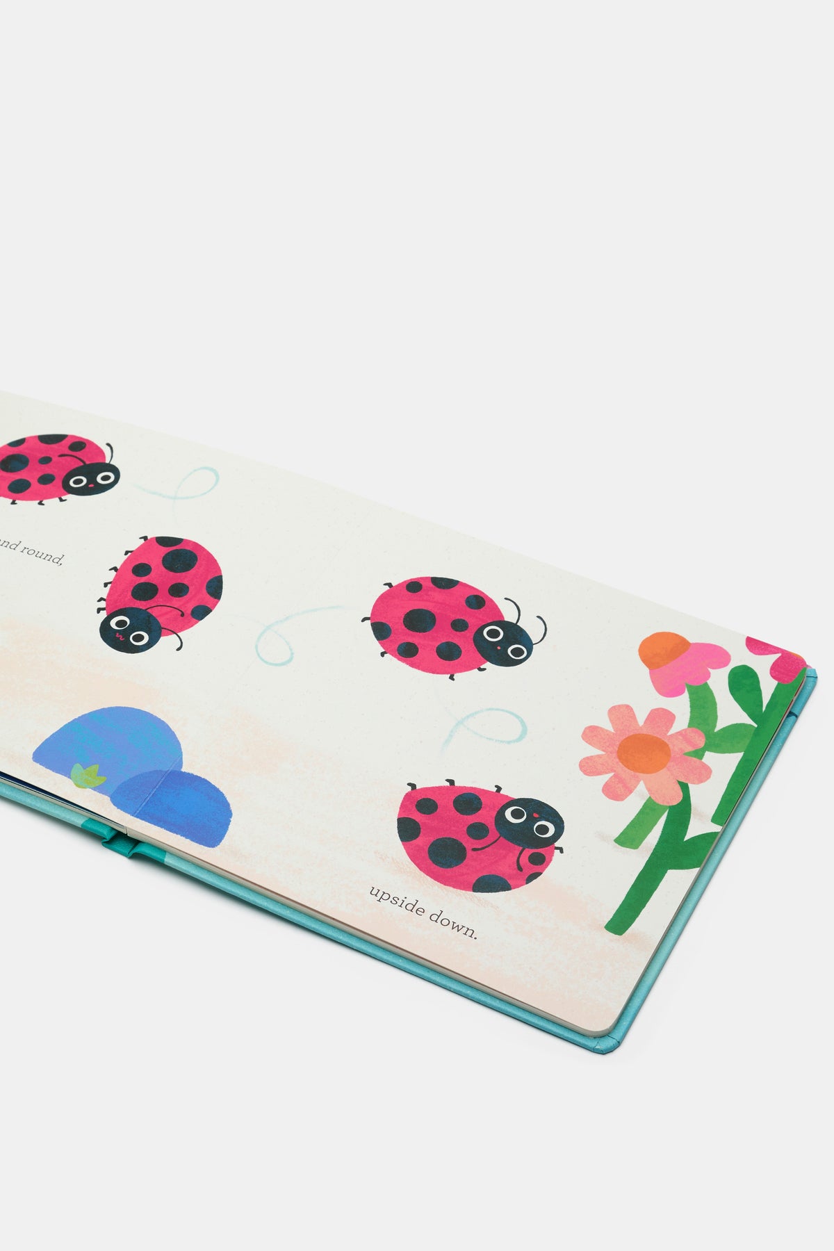 Little Bug