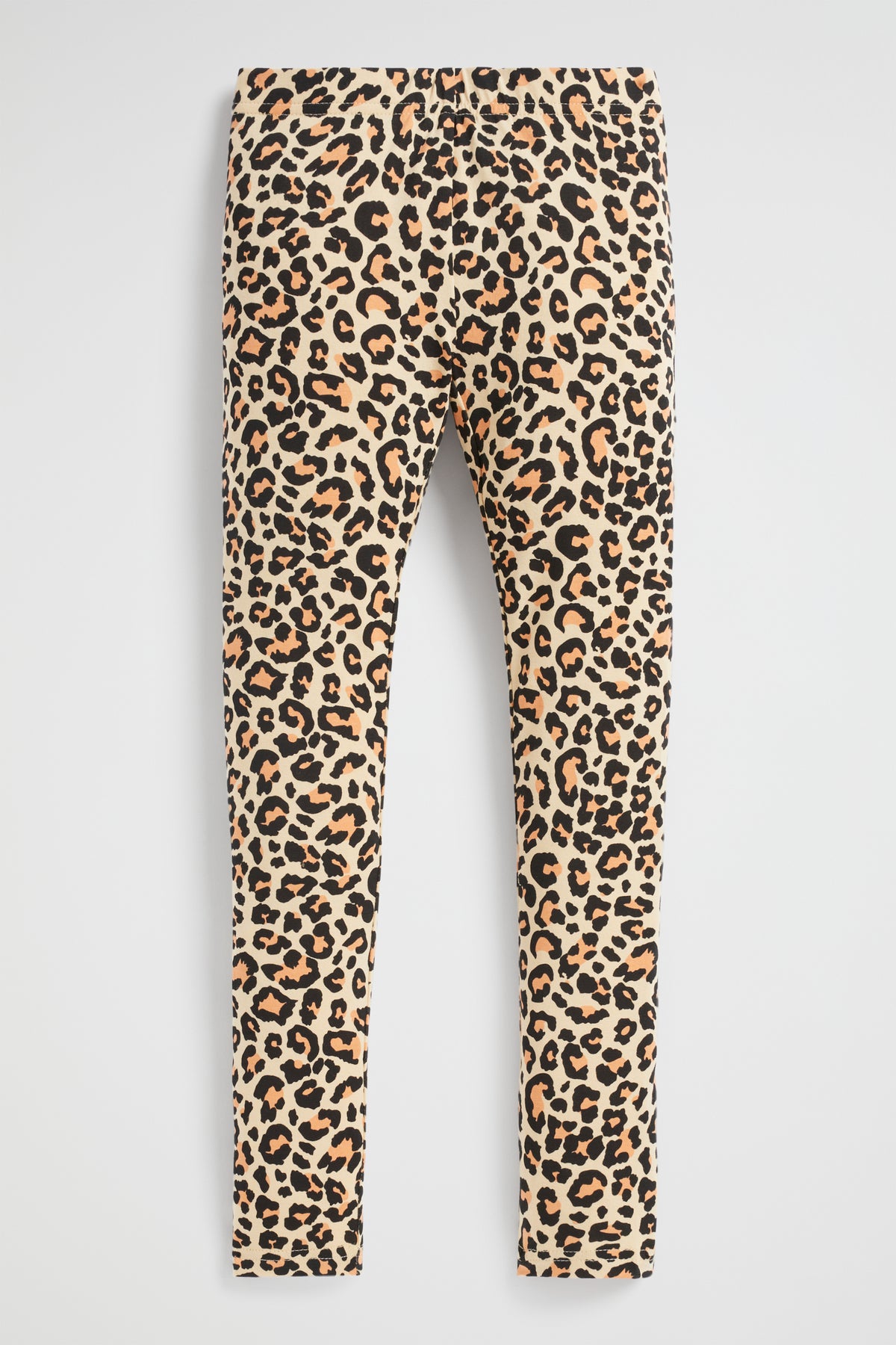 Basic Legging