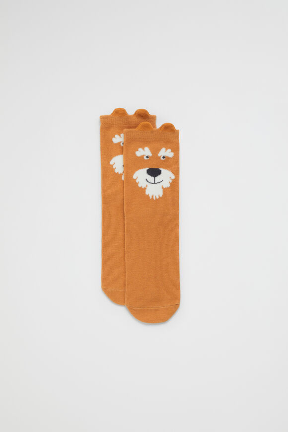 Boys Accessories Boys Accessories Online