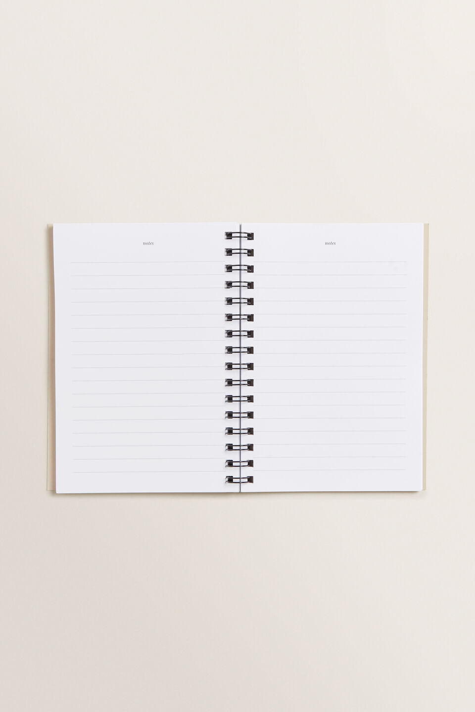 Ocelot Notebook  