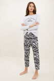 Zebra Pyjamas  Cloud  hi-res