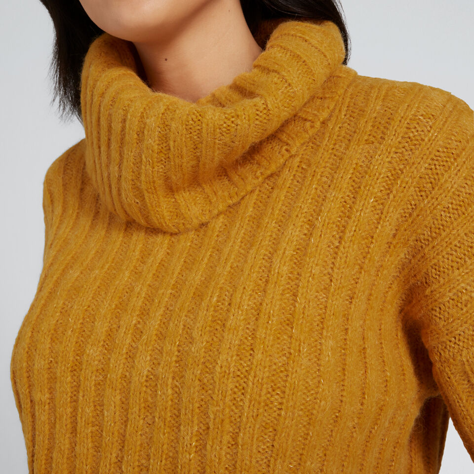 Ribbed Roll Neck  