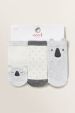 3 Pack Koala Socks    hi-res