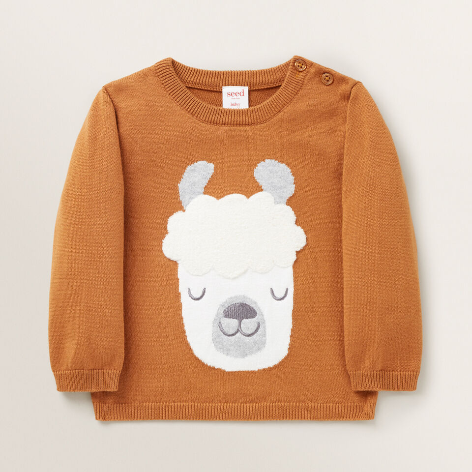 Chenille Llama Knitted Sweater  