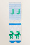 Dinosaur Initial Sock 2 Pack  J  hi-res