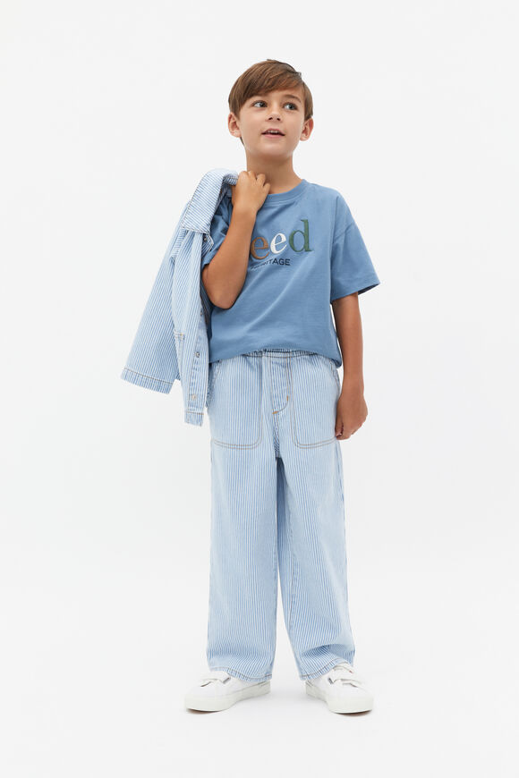 Straight Jean  Denim Stripe  hi-res