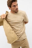 Crew Stripe Tee  Cashew Stripe  hi-res