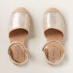 Metallic Espadrille  9  hi-res
