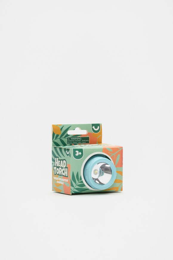 Head Torch  Multi  hi-res