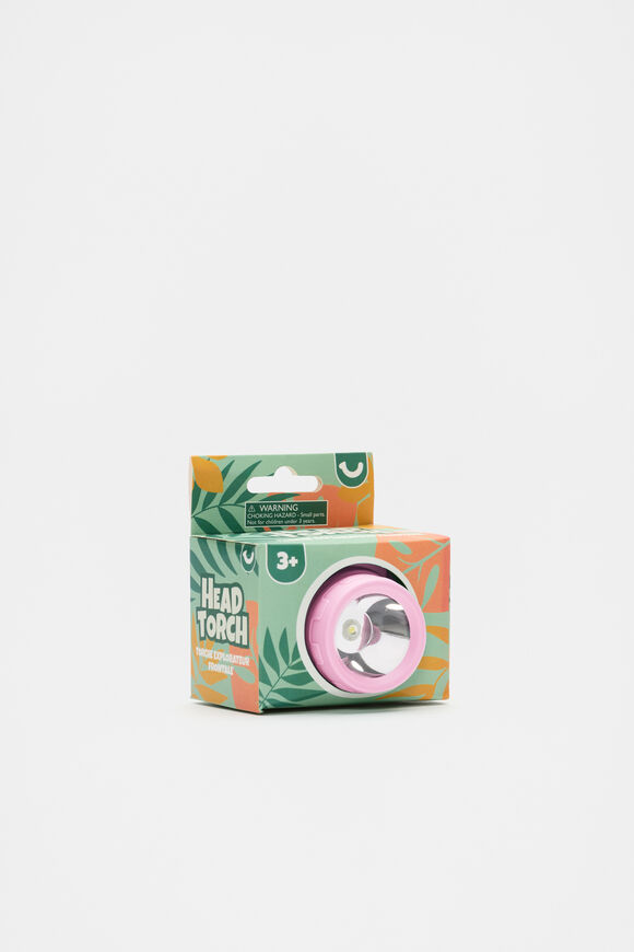 Head Torch  Multi  hi-res
