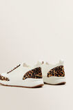 Leather Knit Sneaker    hi-res