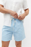 Stripe Swim Short  Capri Stripe  hi-res