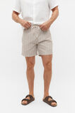 Stripe Swim Short  Hazelnut Stripe  hi-res