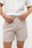 Stripe Swim Short  Hazelnut Stripe  hi-res