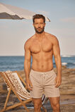 Stripe Swim Short  Hazelnut Stripe  hi-res