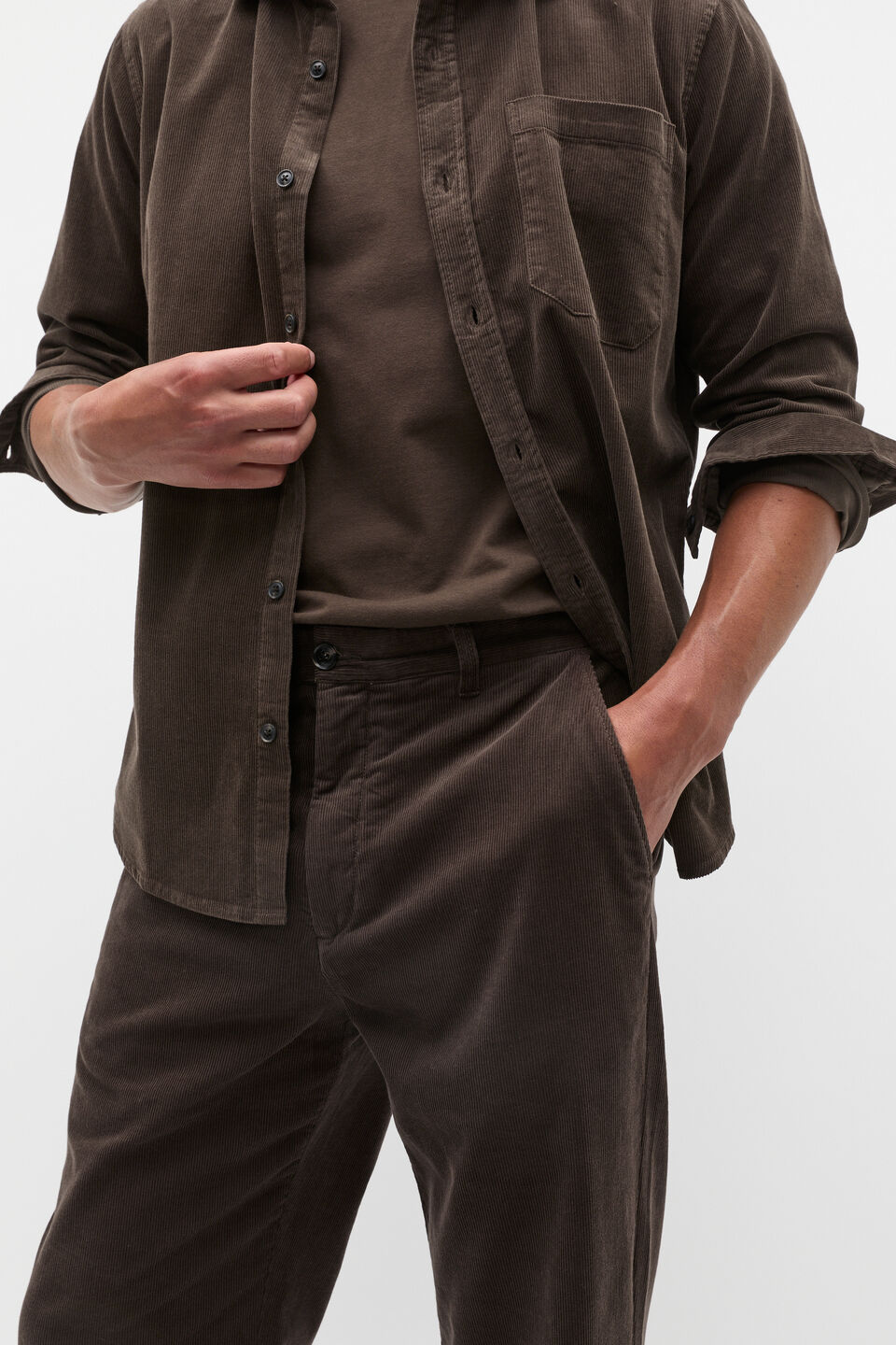 Classic Fit Cord Pant  Dark Espresso