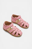 Classic Cage Sandal  Pink  hi-res