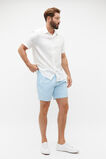 Stripe Swim Short  Capri Stripe  hi-res