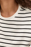 Heritage Embroidered Tee  Cloud Cream Stripe  hi-res