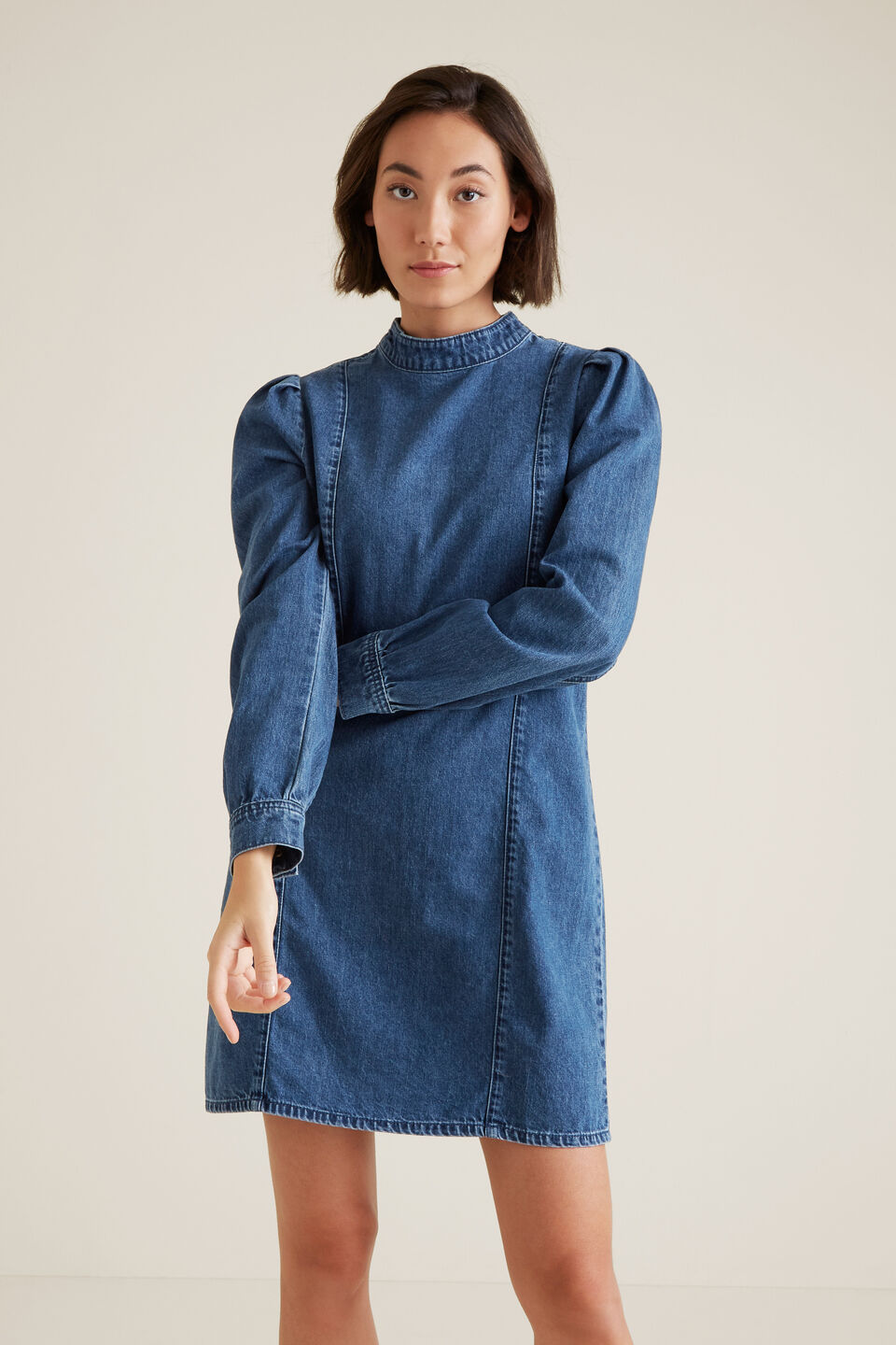 Mock Neck Denim Dress  