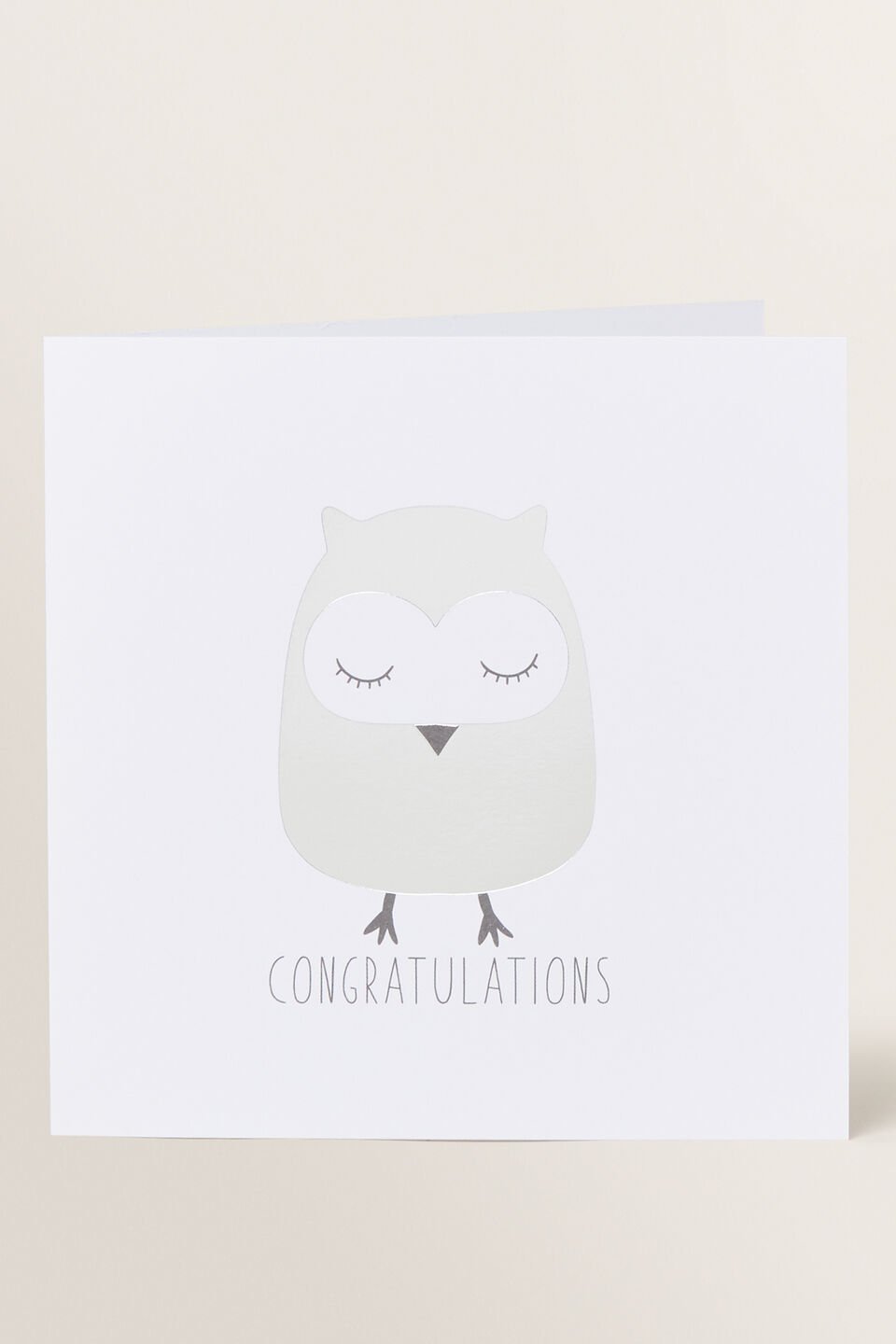 Large Owl Card  