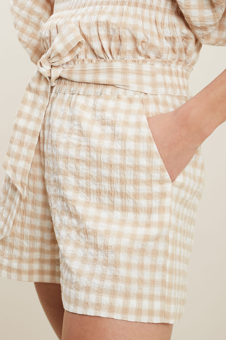 Gingham Short  Biscotti Gingham