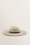 Two Tone Panama    hi-res