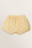 Terry Short  Butter Yellow  hi-res