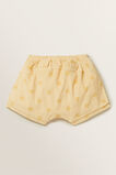 Terry Short  Butter Yellow  hi-res