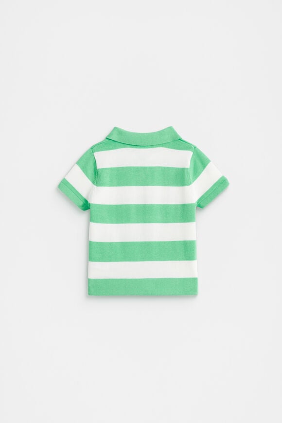 Knitted Stripe Polo  Pine Lime  hi-res
