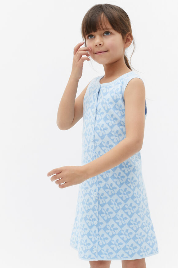 Knit Dress  Dove Blue  hi-res