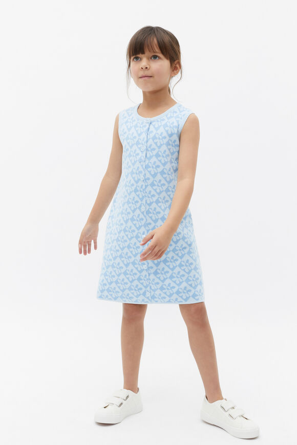 Knit Dress  Dove Blue  hi-res