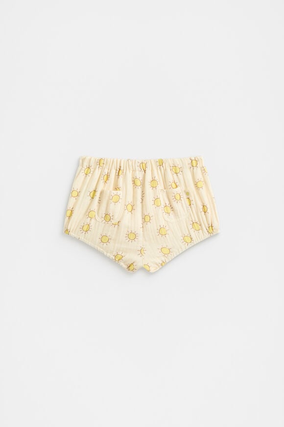 Sunny Bloomer  Sunshine  hi-res
