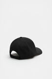 Seed Daily Cap  Black  hi-res