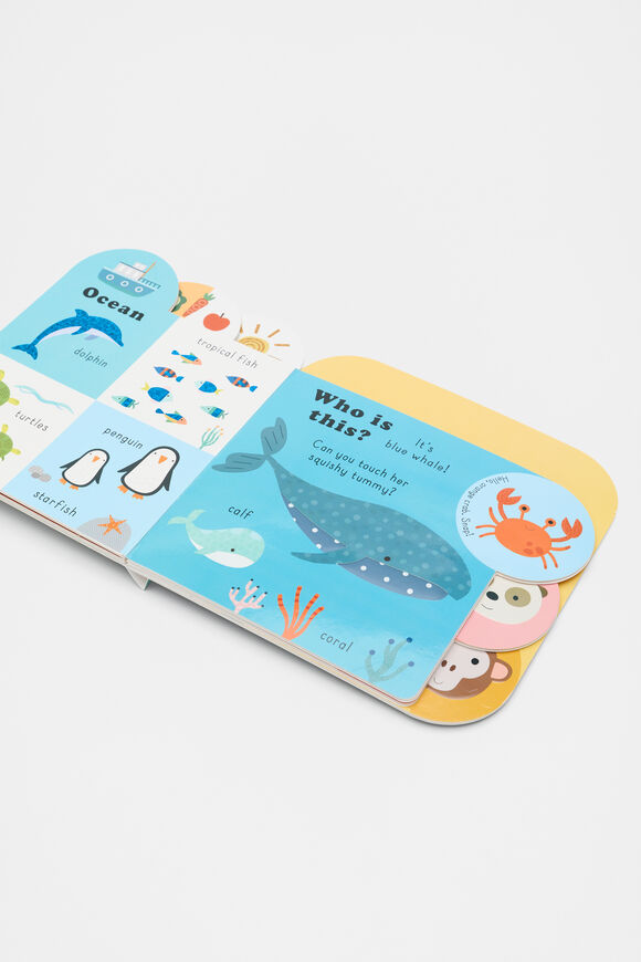 Touchy Feelies: Animal Book  Multi Touchy Feelies: Animal Book  Multi  hi-res