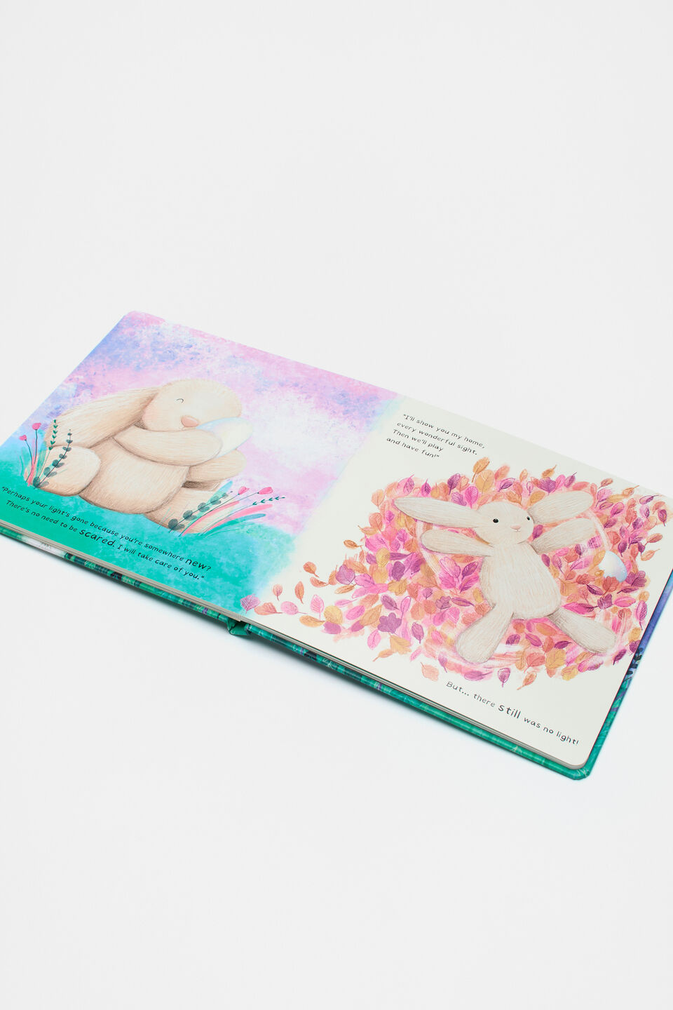 Smudge Rabbit and The Falling Star Book  Multi