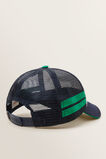 Crocodile Cap    hi-res