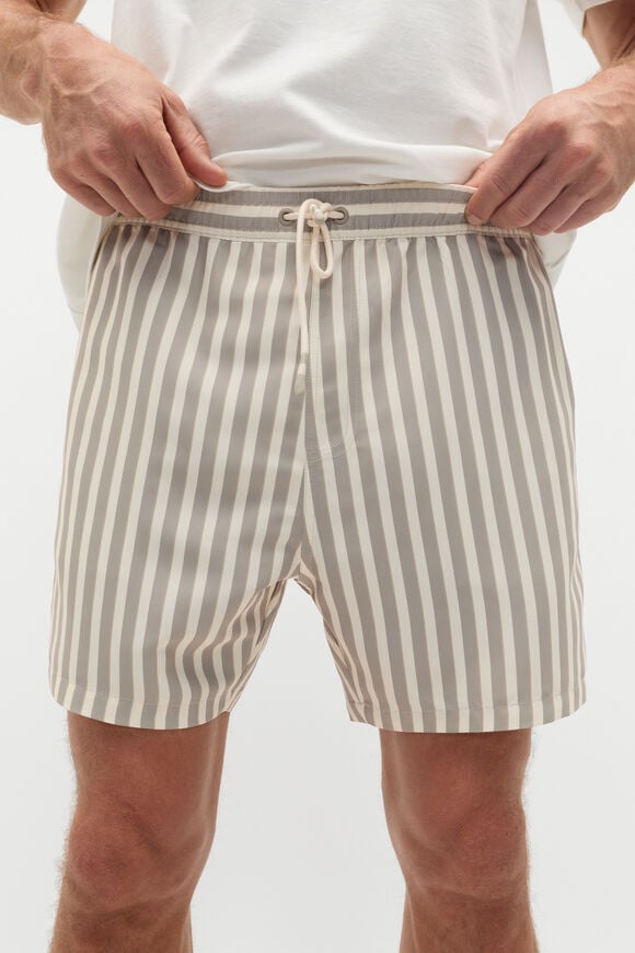 Stripe Swim Short  Almond  hi-res