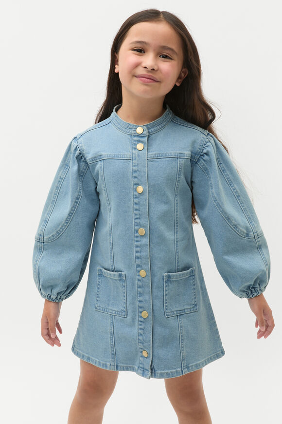 Panelled Denim Dress  Light Wash  hi-res