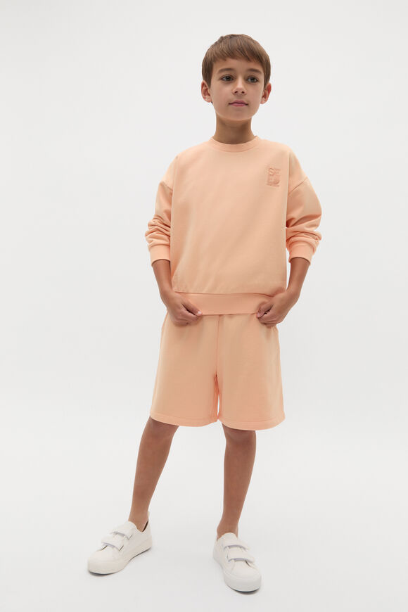 Garment Dye Sweat Top  Washed Apricot  hi-res