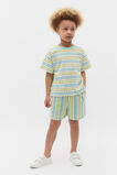 Stripe Short  Multi Stripe  hi-res