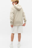 Garment Dye Hoodie  Cool Stone  hi-res