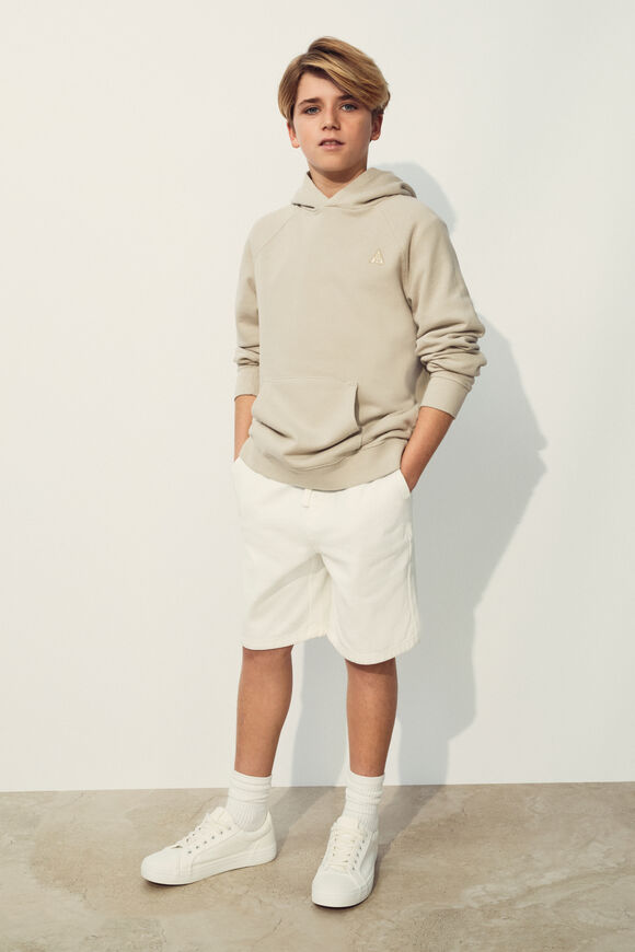 Garment Dye Hoodie  Cool Stone  hi-res